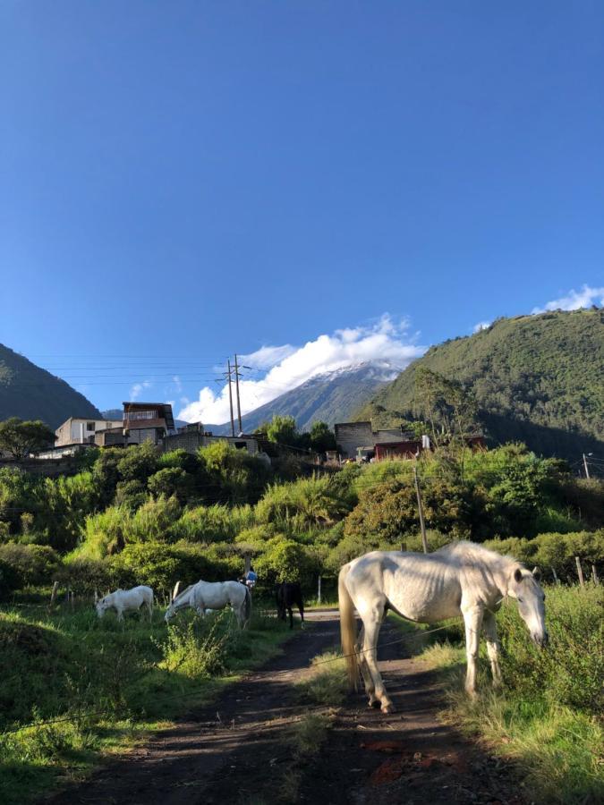 Premium Holiday Cabin - Spectacular Tungurahua Volcano View Баньос Экстерьер фото